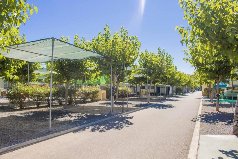 Camping Y Bungalows Monmar Moncófar Eksteriør bilde