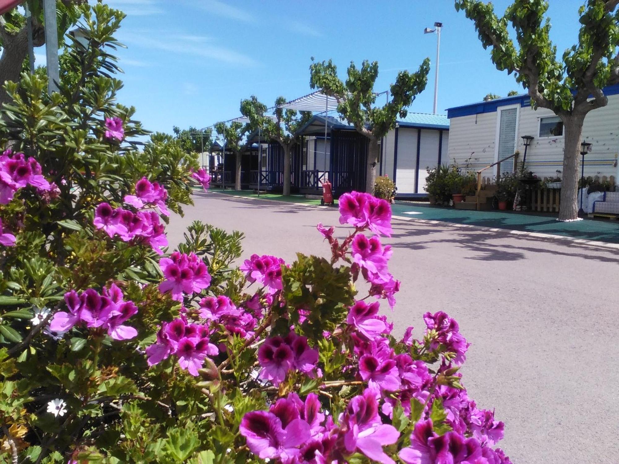 Camping Y Bungalows Monmar Moncófar Rom bilde