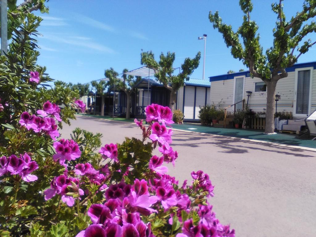 Camping Y Bungalows Monmar Moncófar Eksteriør bilde
