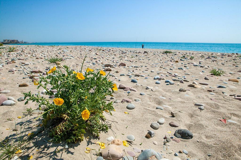 Camping Y Bungalows Monmar Moncófar Eksteriør bilde