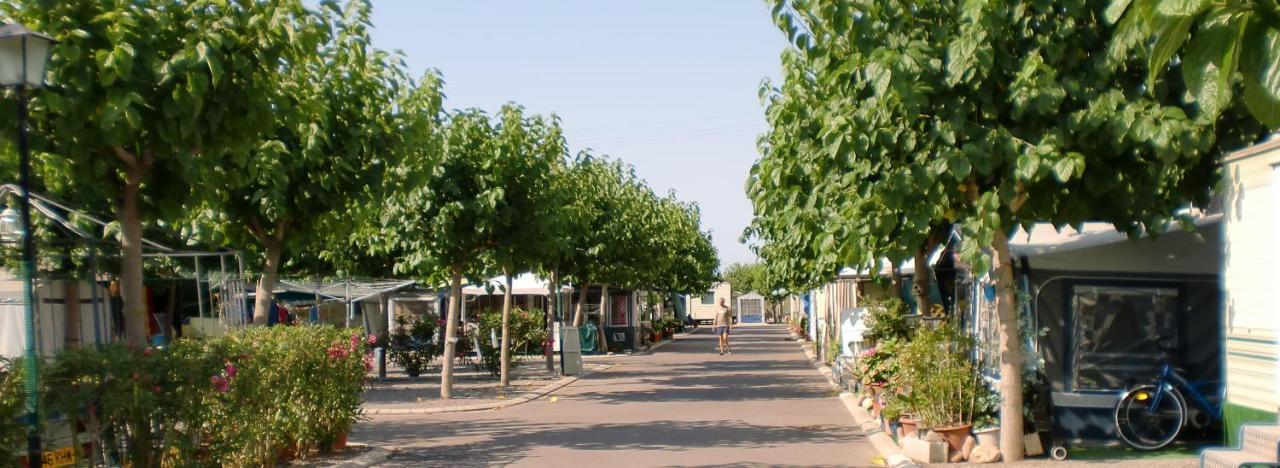 Camping Y Bungalows Monmar Moncófar Eksteriør bilde